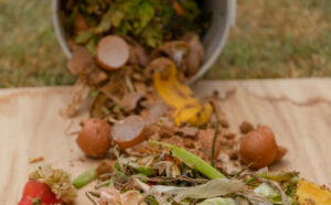 Codul de deșeu 20 03 01 – deșeuri menajere și zona gri a colectării