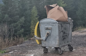 Codul de deșeu 15 01 01 – ambalaje din hârtie și carton, începutul reciclării adevărate