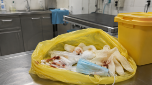 Codul de deșeu 18 02 02* – deșeuri cu măsuri speciale pentru prevenirea infecțiilor